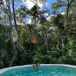 Bed and breakfast Casa Tzalam Selva